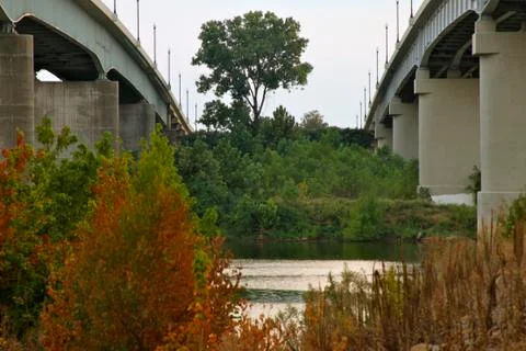 Bridges and Trees Stock-Fotos