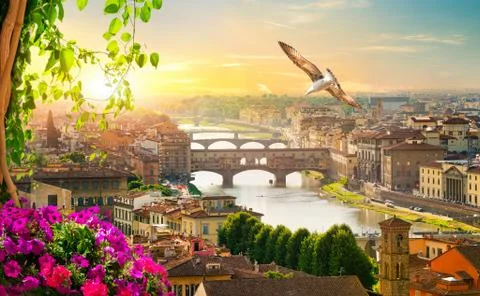Bridges of Florence Stock Photos
