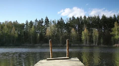 Bridges on the lake in the woods Video stock 10998299