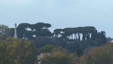The Bridges over River Tiber in Rome - beautiful view Video stock 72436367