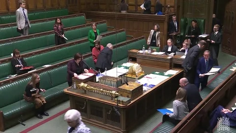 Bridget Phillipson delivers statement on Camden nursery sex abuse case Stock Footage 322632953