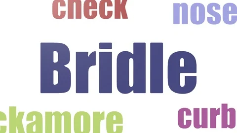 Bridle Tagcloud Animated On White Background Stock Footage 103093180