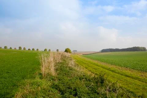 Bridleway with crops Stock Photos