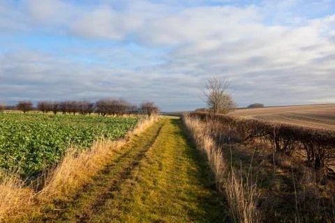 Bridleway in winter Stock Photos