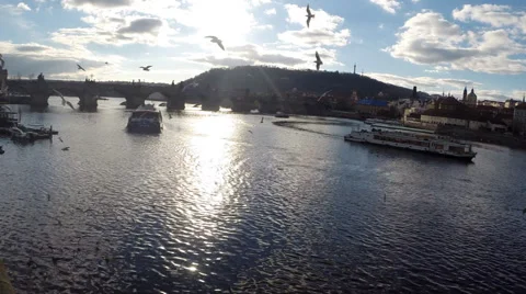 Brids and The Bridge 스톡 동영상 35532127