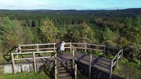 Bridwatcher at New Fancy viewpoint, Forest of Dean, Gloucestershire Stockbeeldmateriaal 260628062