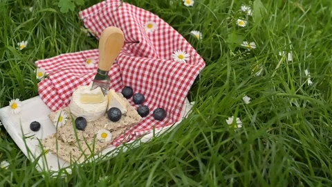 Brie cheese with blueberries Video stock 114580420
