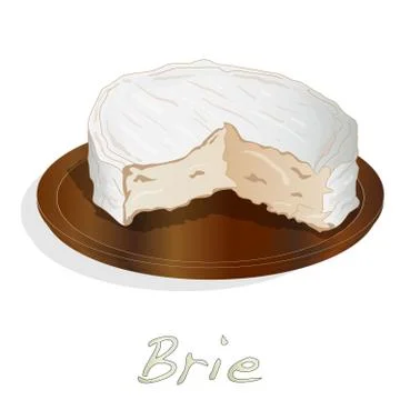 Brie cheese vector  isolated Stock Illustration
