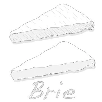 Brie cheese vector  isolated Stock Illustration