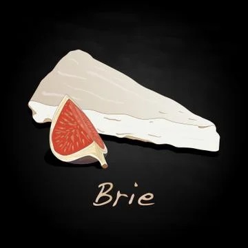 Brie cheese vector  isolated Stock Illustration