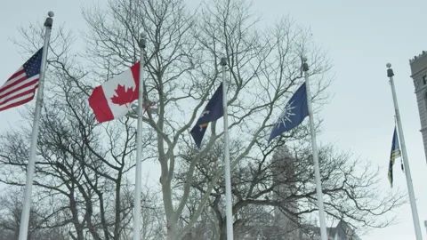 Brief series of Flags in Buffalo, New York Stock Footage 171817009