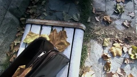 Briefcase on the seat and empty wine bottle on the floor Stock Footage 252482207