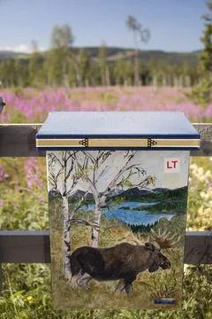  Briefkasten mit Elch Skandinavien, Schweden, Are, Briefkasten mit Elch Co... Stock Photos