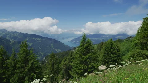 Brienzersee seen from the Schynige Platte Stock Footage 219714250