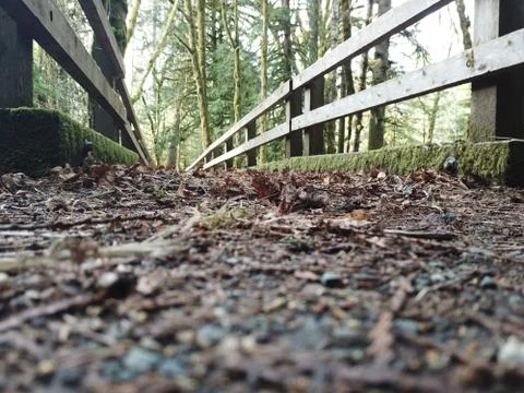 Brigde in the trail Stock Photos