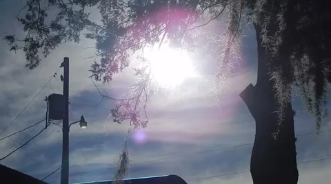 Brigh sun setting through tree silhouette Vídeos de archivo 45203530