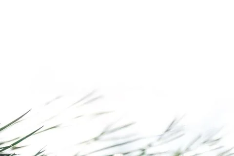 Bright abstract background Stock Photos