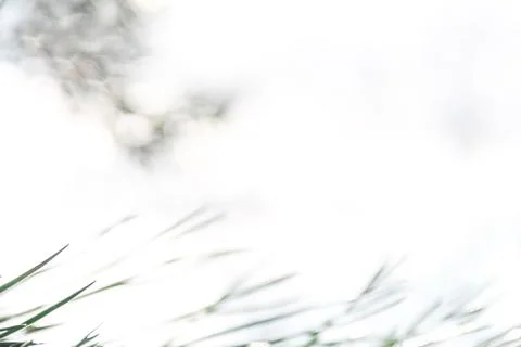 Bright abstract background Stock Photos