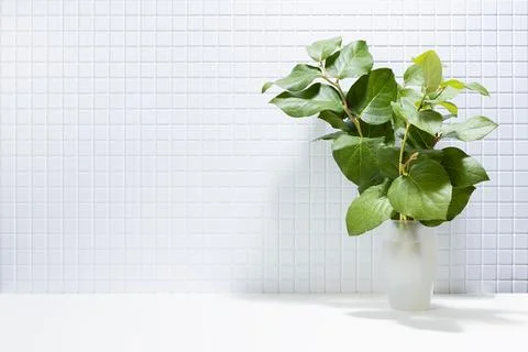 Bright abstract interior in classical mediterranean style with lush green bra Stock Photos