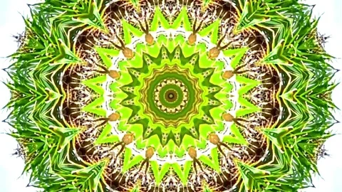 Bright abstract light governing full color, kaleidoscope, black background Video stock 126745322