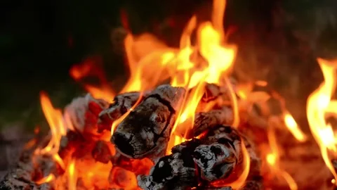 Bright Active Flames and Burning Wood in Campfire Stock Footage 342120559