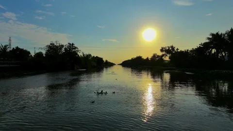 Bright afternoon sunset reflection on a peaceful countryside river Stock-Footage 337532533