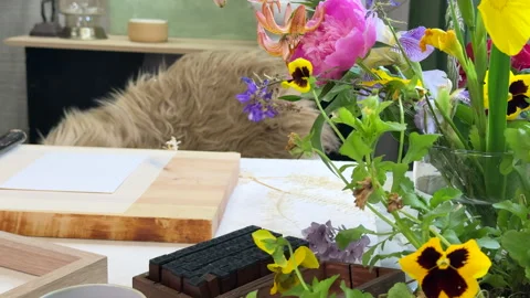 A bright and cozy workspace for botanical printing. Flowers, paper, hammer, stam Stock Footage 312171248