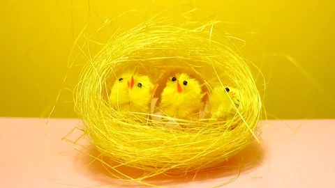 Bright and cute easter decoration 動画素材 86798596