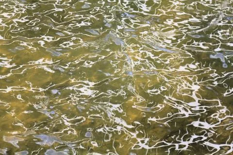 Bright and mysterious patterns on the water Stock Photos