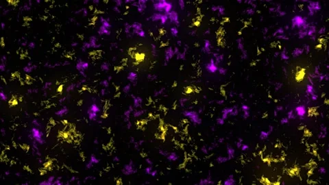 Bright animated abstract shapes with smooth transitions of yellow 動画素材 291803676