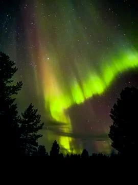 Bright Aurora Arc Over Forest Stock Photos