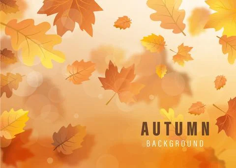 Bright autumn background vector illustration vector art creative Stock Illustration