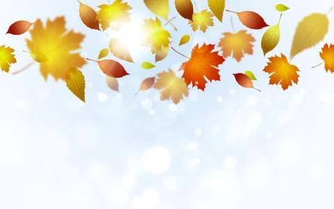 Bright Autumn Fall Background Stock Illustration