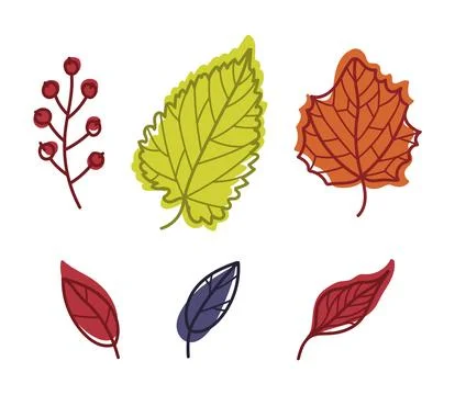 Bright Autumn Foliage with Different Leaf Color Vector Set 스톡 일러스트
