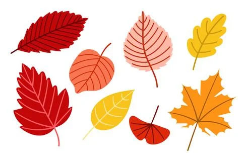Bright autumn leaves vector set illustration Stock Illustration