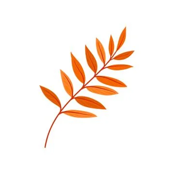 Bright autumn rowan leaf vector Illustration on a white background Stock Illustration