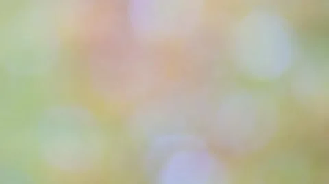 Bright background with bokeh effect. Stock Footage 56384928