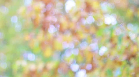 Bright background with bokeh effect Stock Footage 56390176