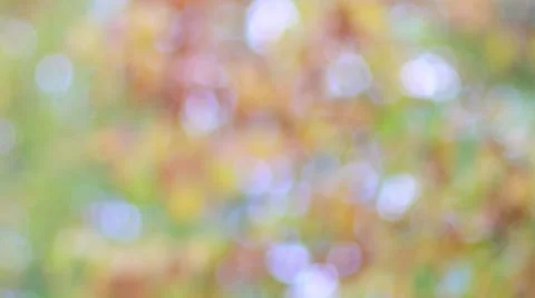 Bright background with bokeh light effect. Stock Footage 56389079