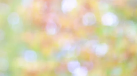 Bright background with bokeh light movement effect. Stock Footage 56392216