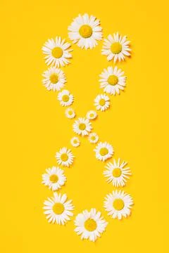 Bright background with white chamomiles. Infinity. Daisy on yellow background Stock-Fotos