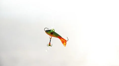 Bright  bait  on the ice. Video stock 45964268