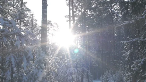Bright beam of sun shines directly into the camera Stock Footage 86207403