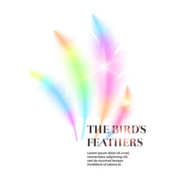 Bright bird feathers on a white background. Stock Illustration