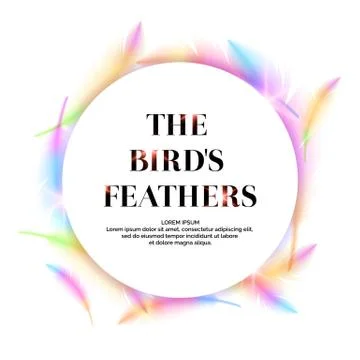Bright bird feathers on a white background. Stock Illustration
