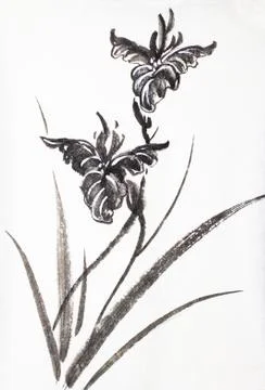 Bright black iris Stock Illustration