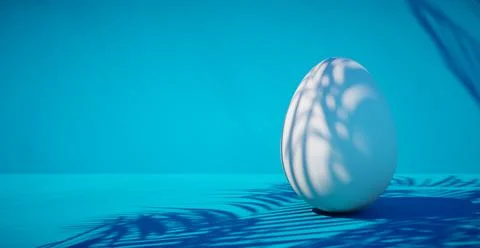 Bright blank background with egg. 3d rendering Illustrazione stock