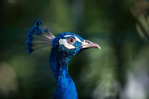 The bright blue 10  Stock Photos