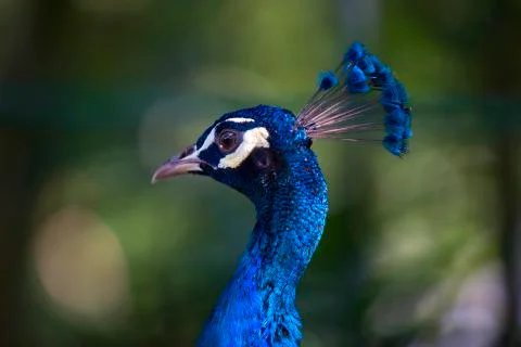 The bright blue 3  Stock Photos