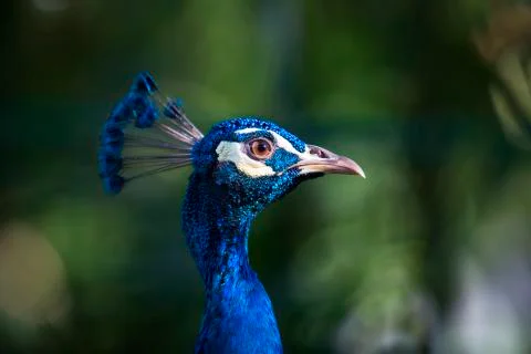 The bright blue 9  Stock Photos